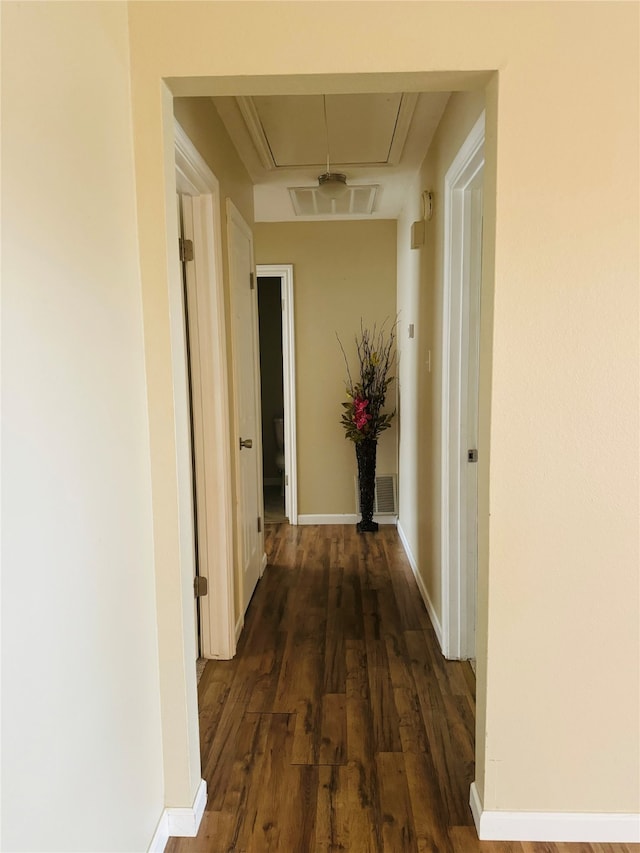 hallway with dark hardwood / wood-style floors