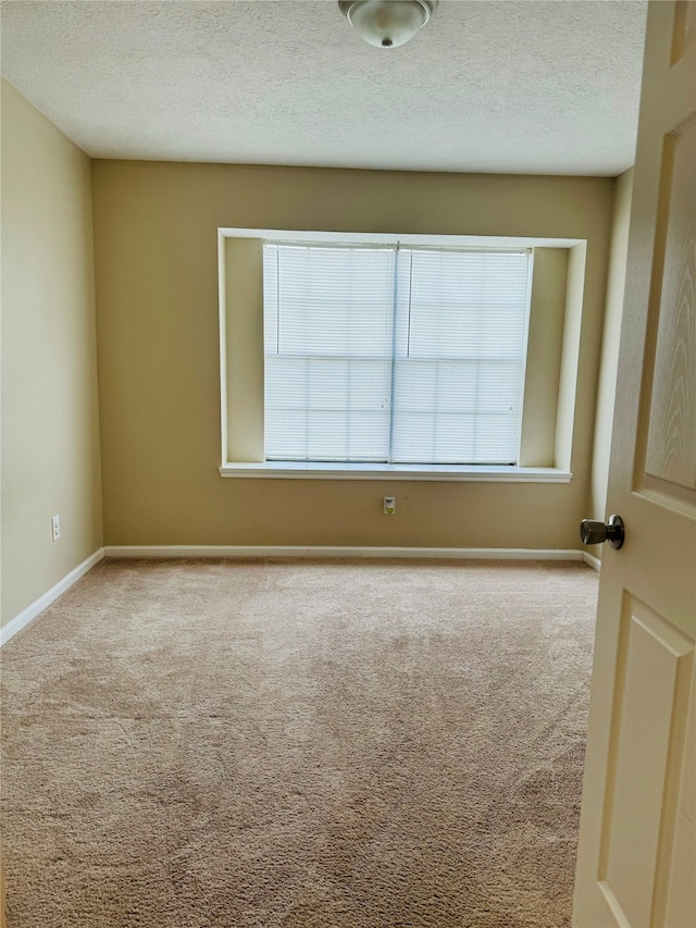 spare room featuring carpet flooring and a textured ceiling