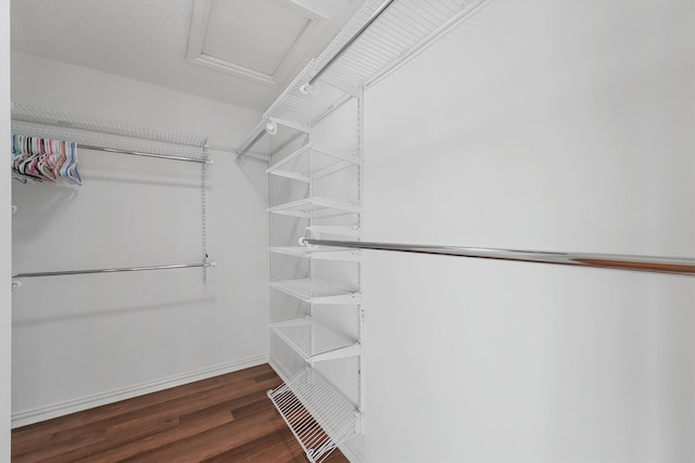 walk in closet with dark wood-type flooring