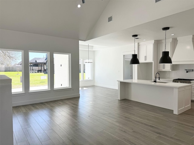 kitchen with dark wood-style flooring, custom range hood, a kitchen island with sink, a sink, and range