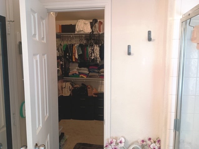 view of closet