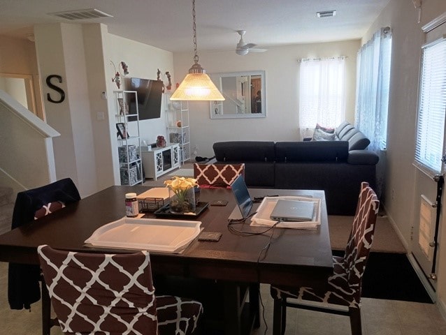 dining room featuring a healthy amount of sunlight and ceiling fan