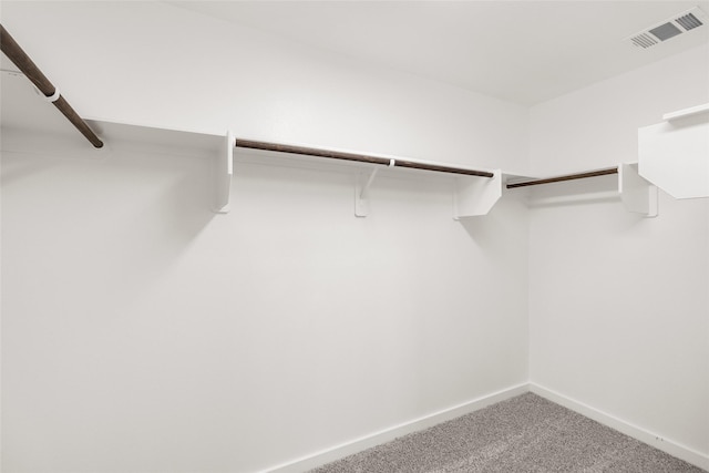 spacious closet featuring carpet flooring