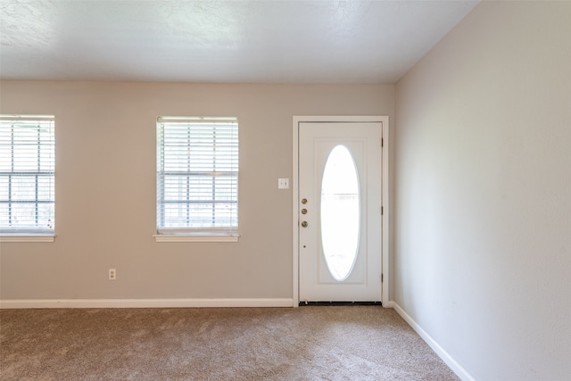 entryway featuring carpet and plenty of natural light