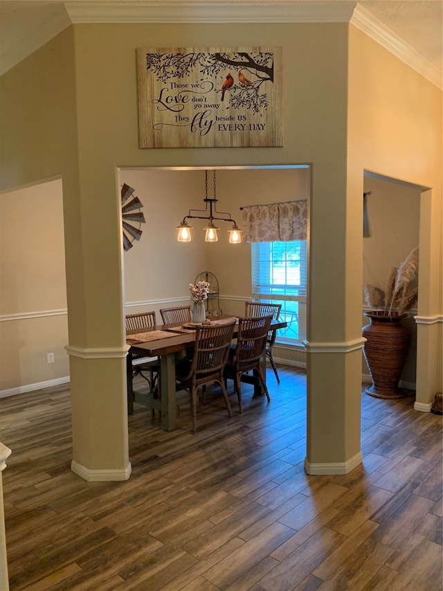 dining space with crown molding and dark hardwood / wood-style floors