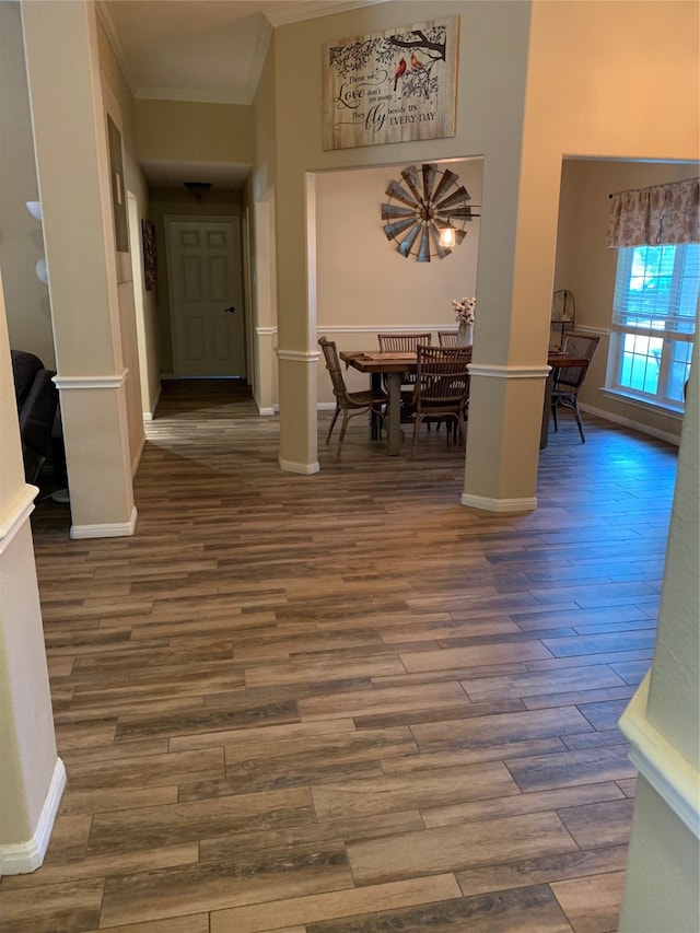 hall featuring dark wood-type flooring and crown molding