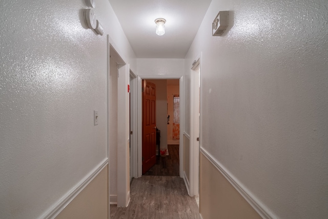 hallway with hardwood / wood-style floors