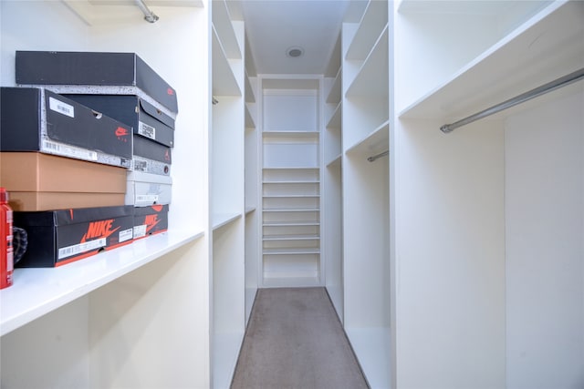 spacious closet with light colored carpet