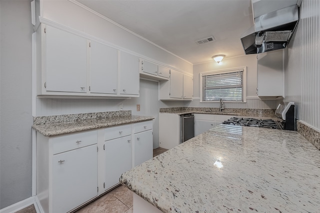 kitchen featuring sink, white cabinetry, stainless steel appliances, crown molding, and exhaust hood