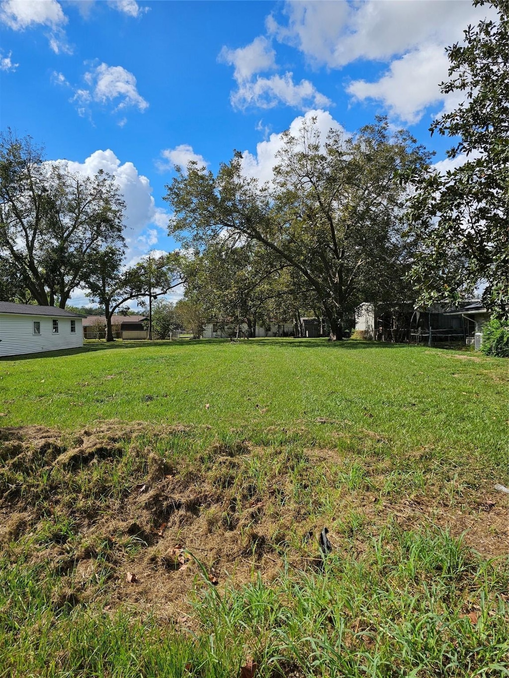 0 Maple St, Sweeny, TX 77480 - photo 2