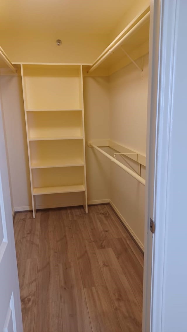 walk in closet featuring hardwood / wood-style flooring