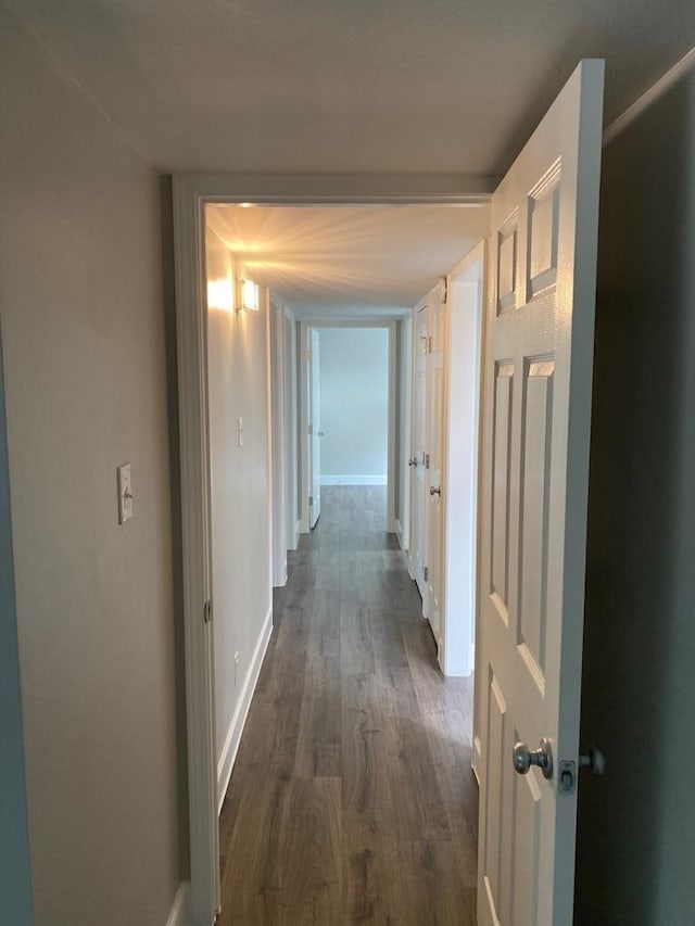 hall featuring dark hardwood / wood-style floors