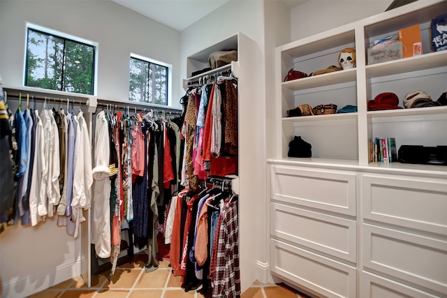 view of walk in closet