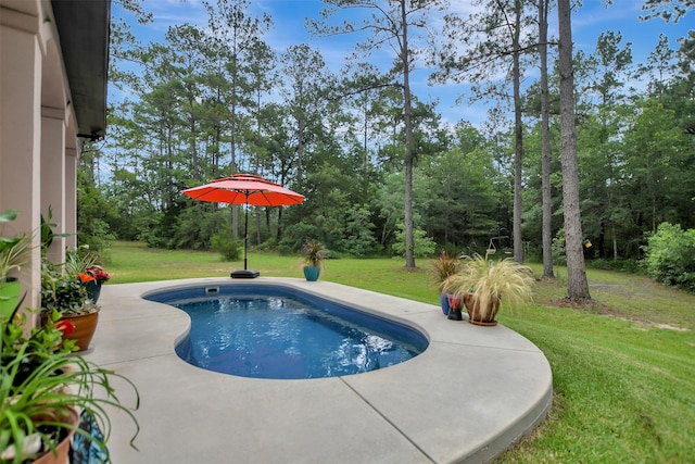 view of pool featuring a yard and a patio area