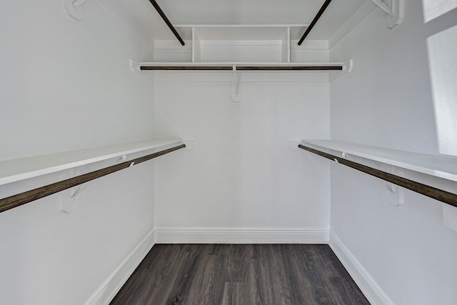 walk in closet with dark hardwood / wood-style floors