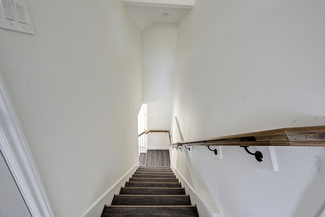 stairs with hardwood / wood-style flooring