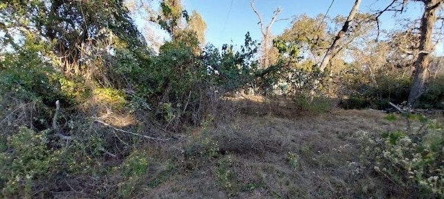 view of landscape