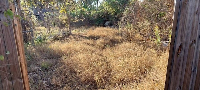 26573 Fawn Dr, Hempstead, TX 77445 - view of nature