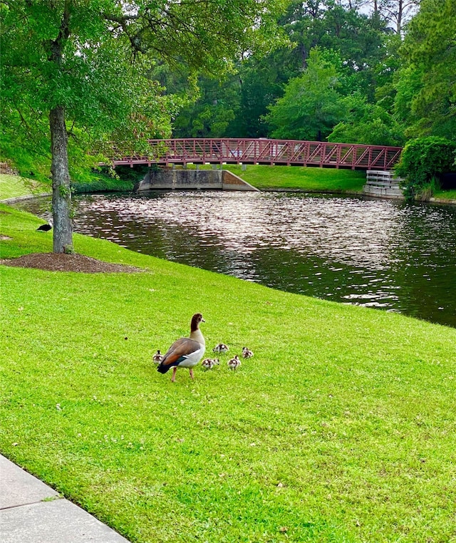 surrounding community featuring a water view and a lawn