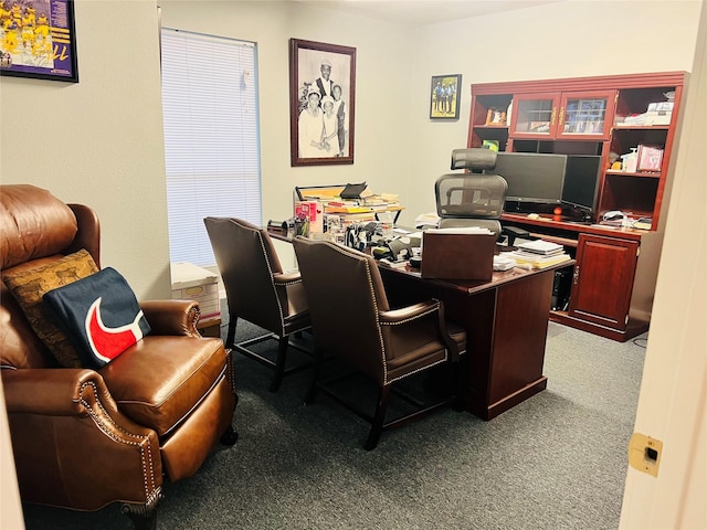 office area featuring carpet