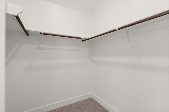 spacious closet featuring carpet floors