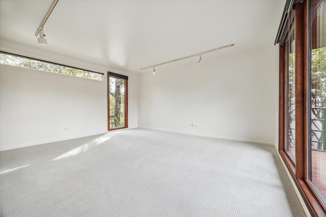 empty room with carpet flooring and track lighting