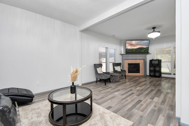 living room with a healthy amount of sunlight, wood-type flooring, and a fireplace