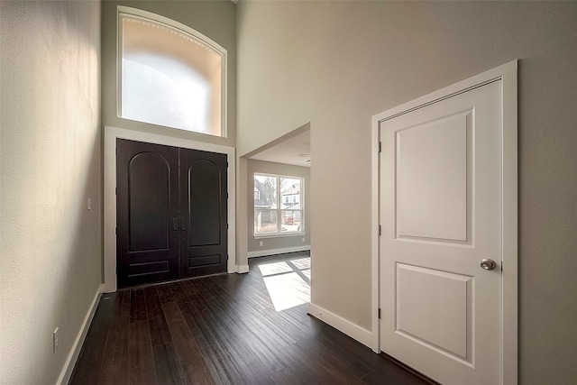 foyer entrance with a high ceiling and dark hardwood / wood-style flooring