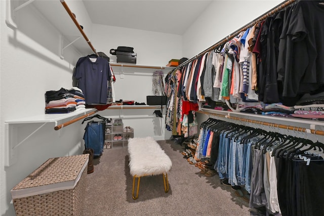 walk in closet featuring carpet floors