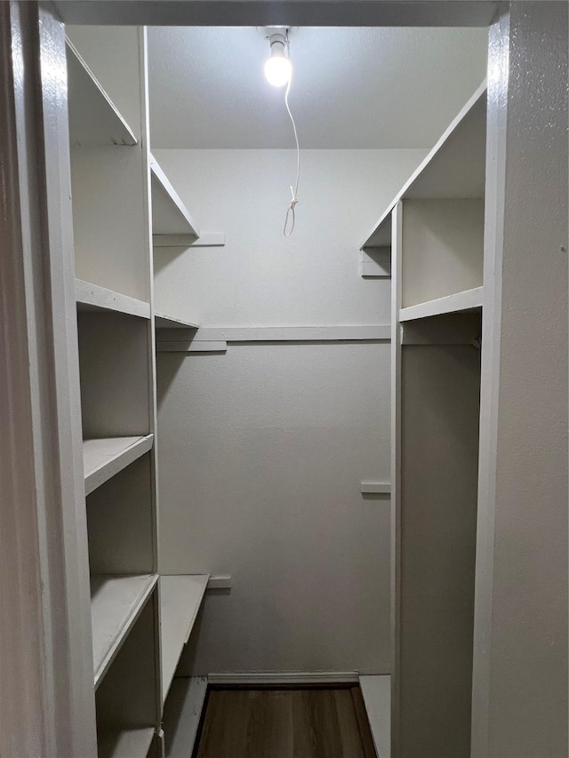 spacious closet featuring dark hardwood / wood-style flooring