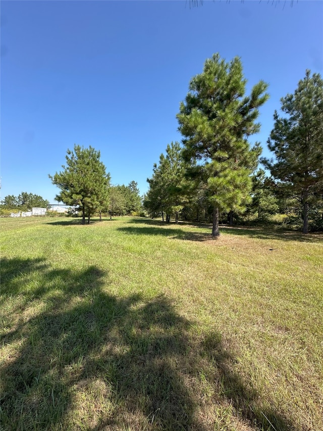 Listing photo 2 for 72 County Road 5124, Cleveland TX 77327