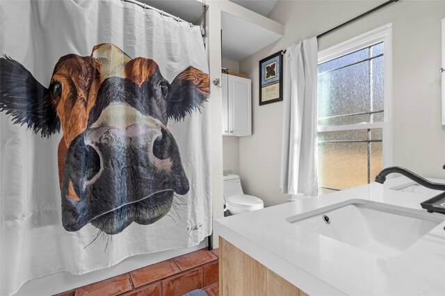 bathroom featuring vanity and toilet