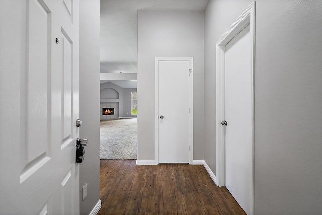 hallway featuring dark wood-type flooring