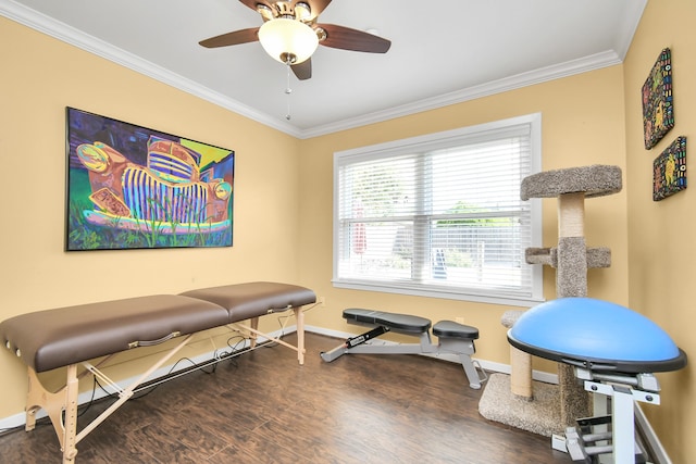 exercise room featuring wood-type flooring, ceiling fan, and crown molding