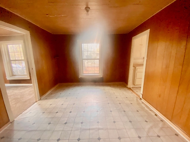 unfurnished room featuring a healthy amount of sunlight and wooden walls