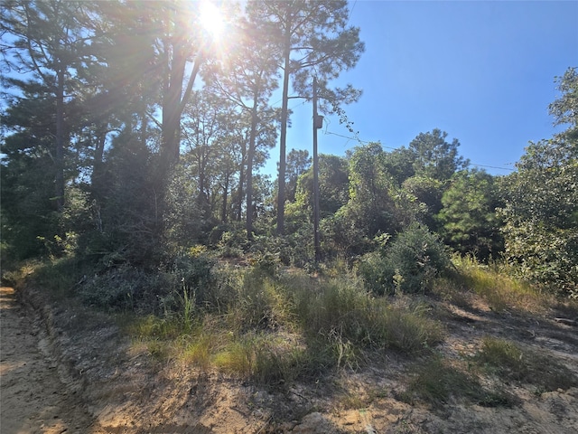 R20785 County Road 3325, Colmesneil, TX 75938 - photo 3