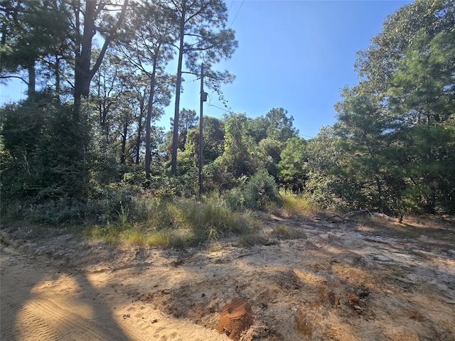 R20785 County Road 3325, Colmesneil, TX 75938 - photo 4