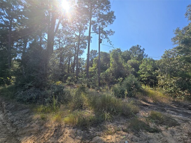 R20785 County Road 3325, Colmesneil, TX 75938 - photo 2