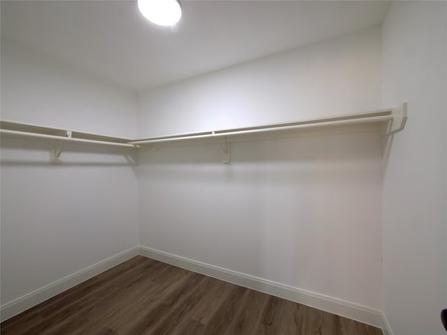 walk in closet featuring dark hardwood / wood-style flooring