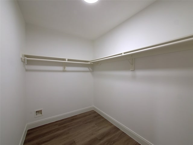 spacious closet with dark wood-type flooring