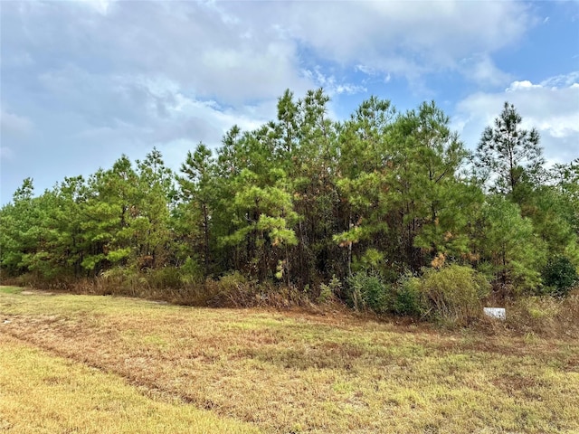15886 Wood Grove Way, Willis, TX 77378