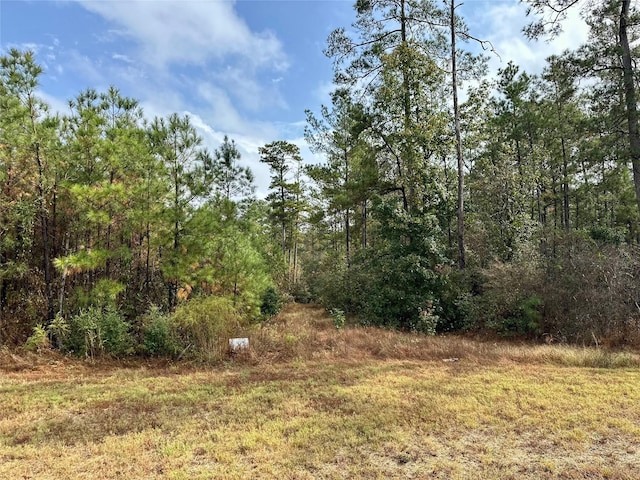 15886 Wood Grove Way, Willis, TX 77378