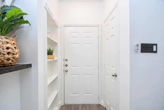 entryway with hardwood / wood-style floors