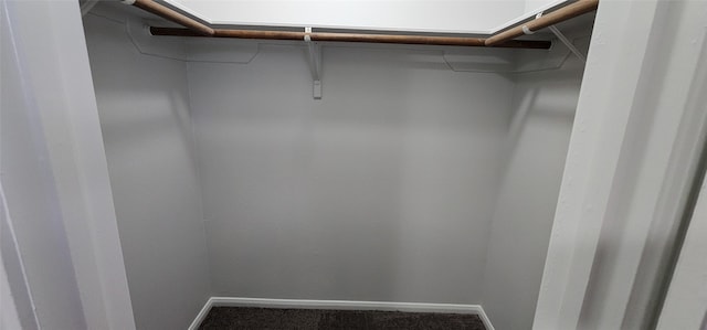 spacious closet featuring carpet flooring