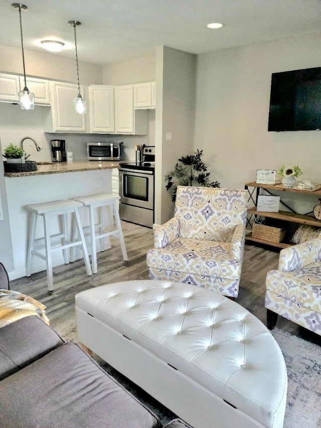 living room with light hardwood / wood-style flooring