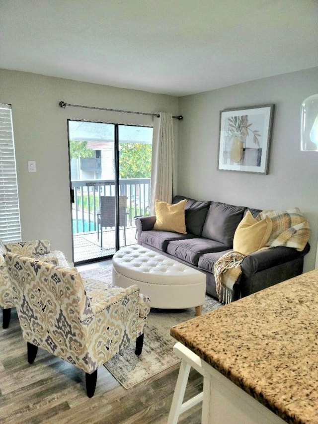 living room with hardwood / wood-style floors