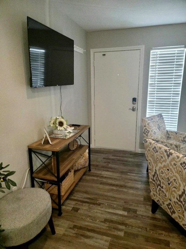 foyer entrance featuring dark hardwood / wood-style flooring