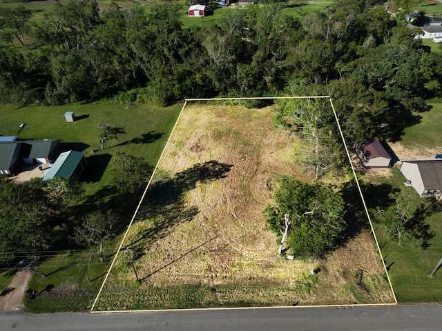 118 Durazno Rd, Jones Creek TX, 77541 land for sale