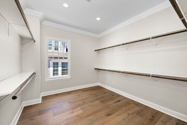 spacious closet featuring wood-type flooring