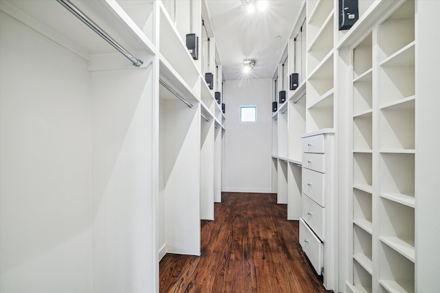 walk in closet with dark hardwood / wood-style floors